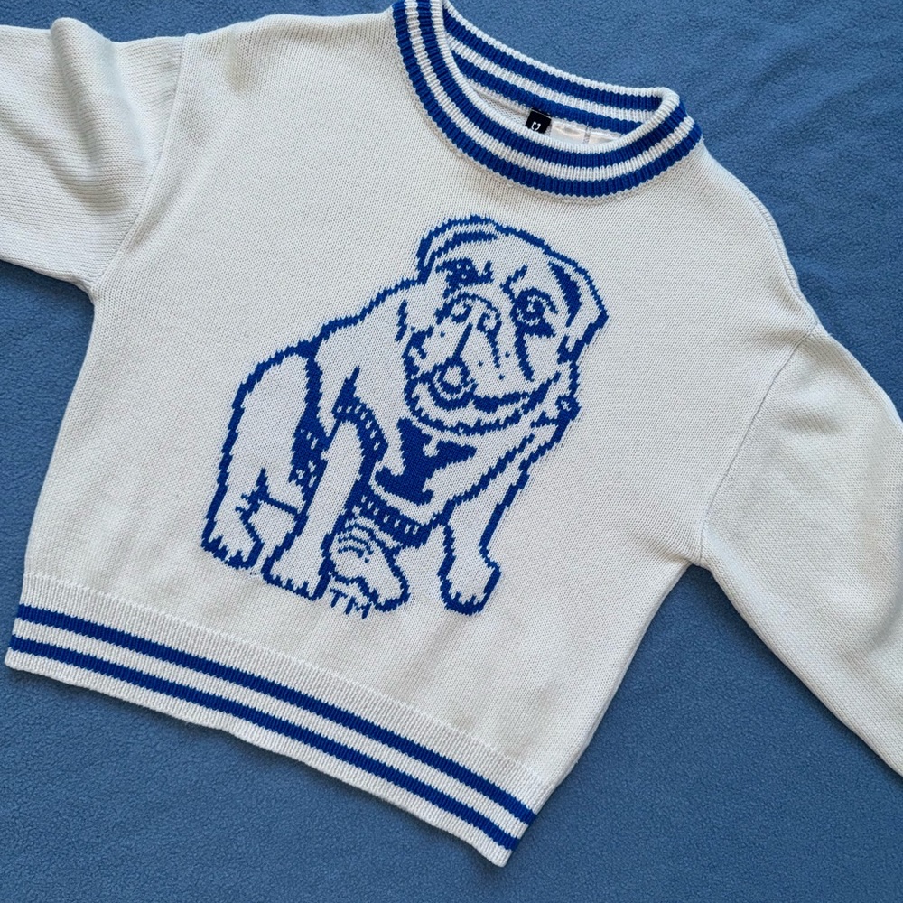 Y2K Yale Bulldogs white and blue sweater